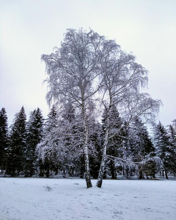 Waldbadgaststatte Neuwurschnitz